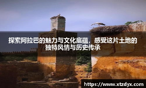 探索阿拉巴的魅力与文化底蕴，感受这片土地的独特风情与历史传承